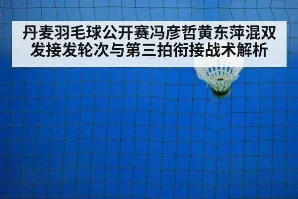 badminton net shot