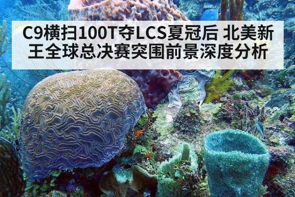 C9横扫100T夺LCS夏冠后 北美新王全球总决赛突围前景深度分析
